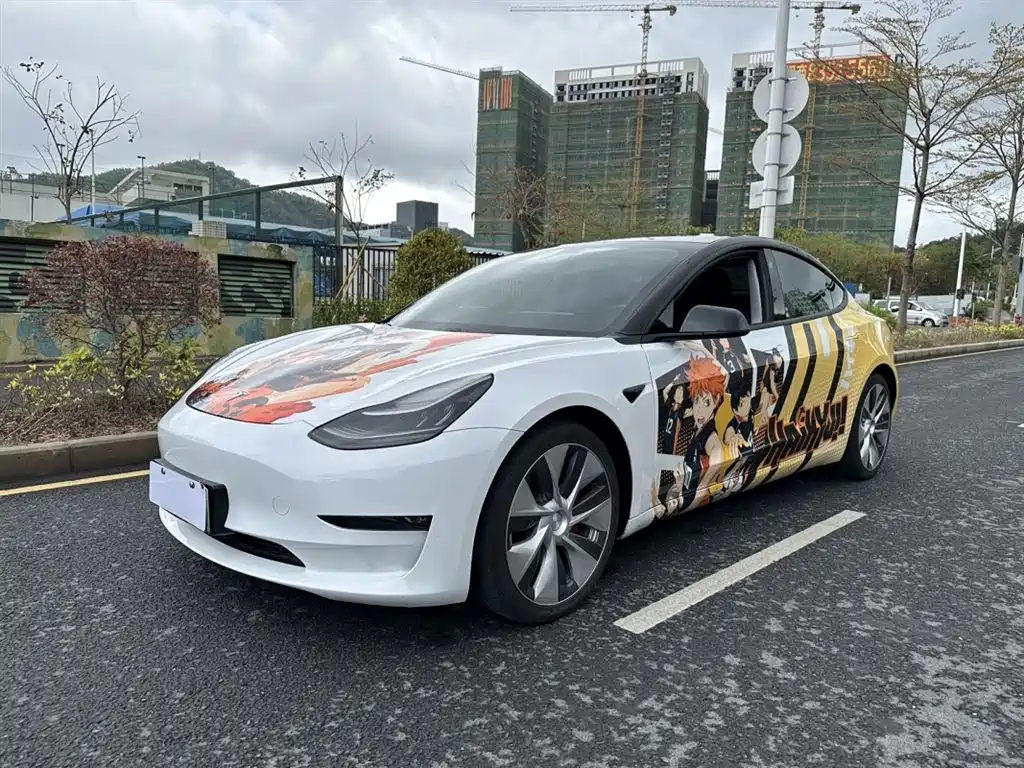 TESLA MODEL 3