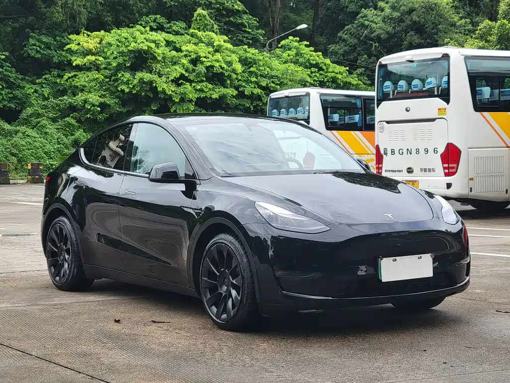 Tesla Model Y — миниатюра 3