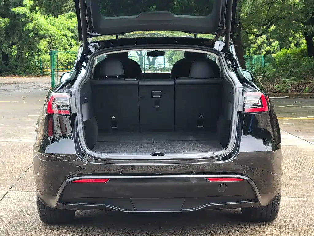 Tesla Model Y — миниатюра 18