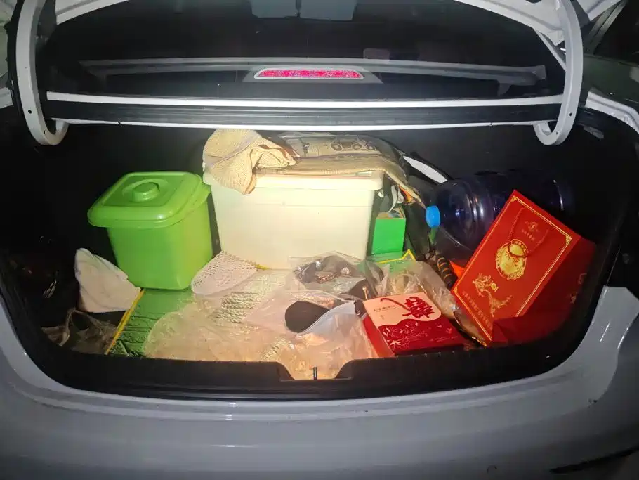 Hyundai Mistra — миниатюра 4