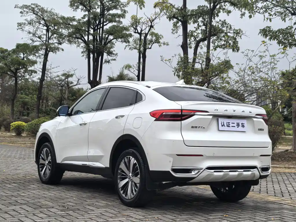 HAVAL F7X