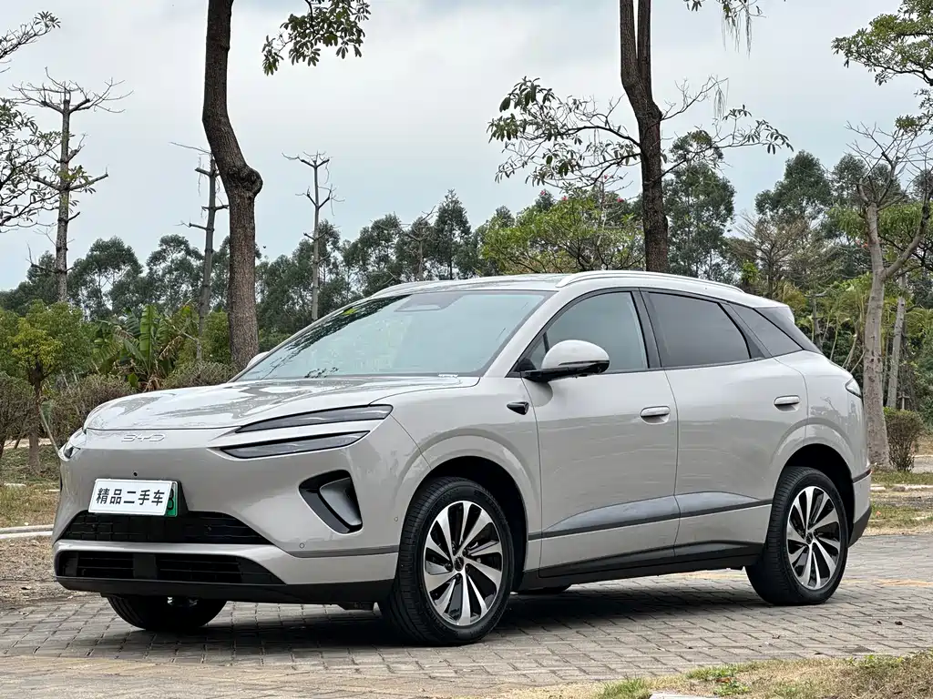 BYD SEA LION 06 NEW ENERGY