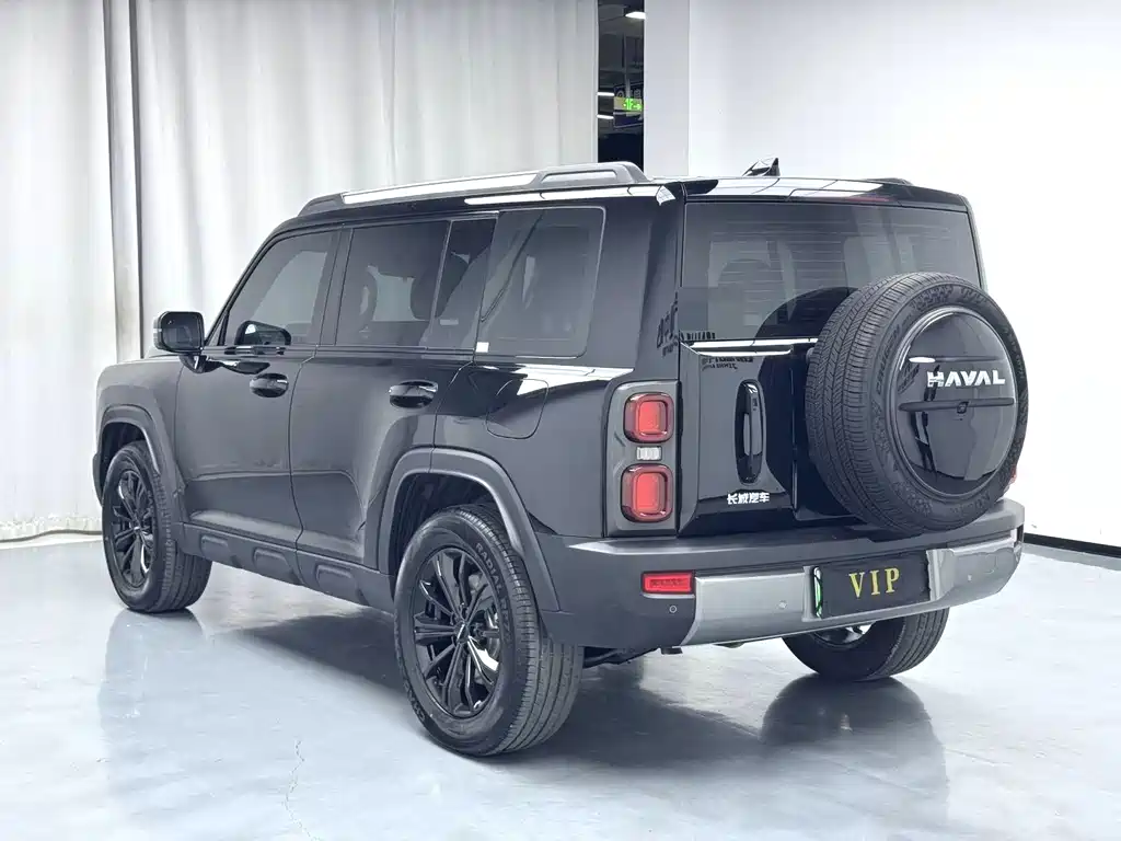 Haval Menglong New Energy — миниатюра 8