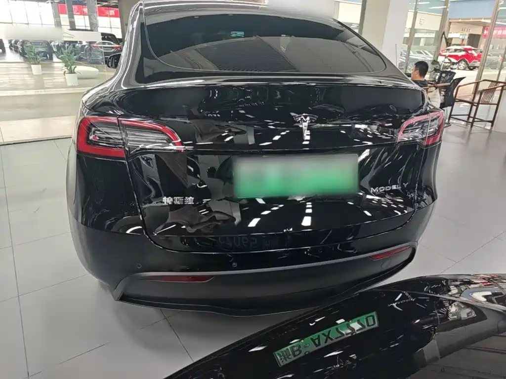 Tesla Model Y — миниатюра 6