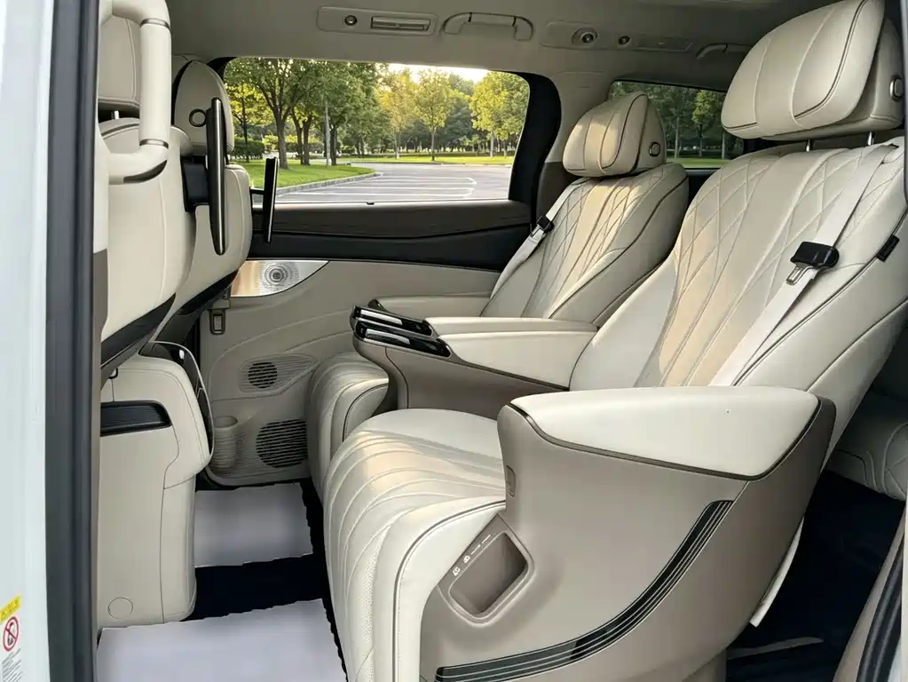 Denza Denza D9 — миниатюра 10