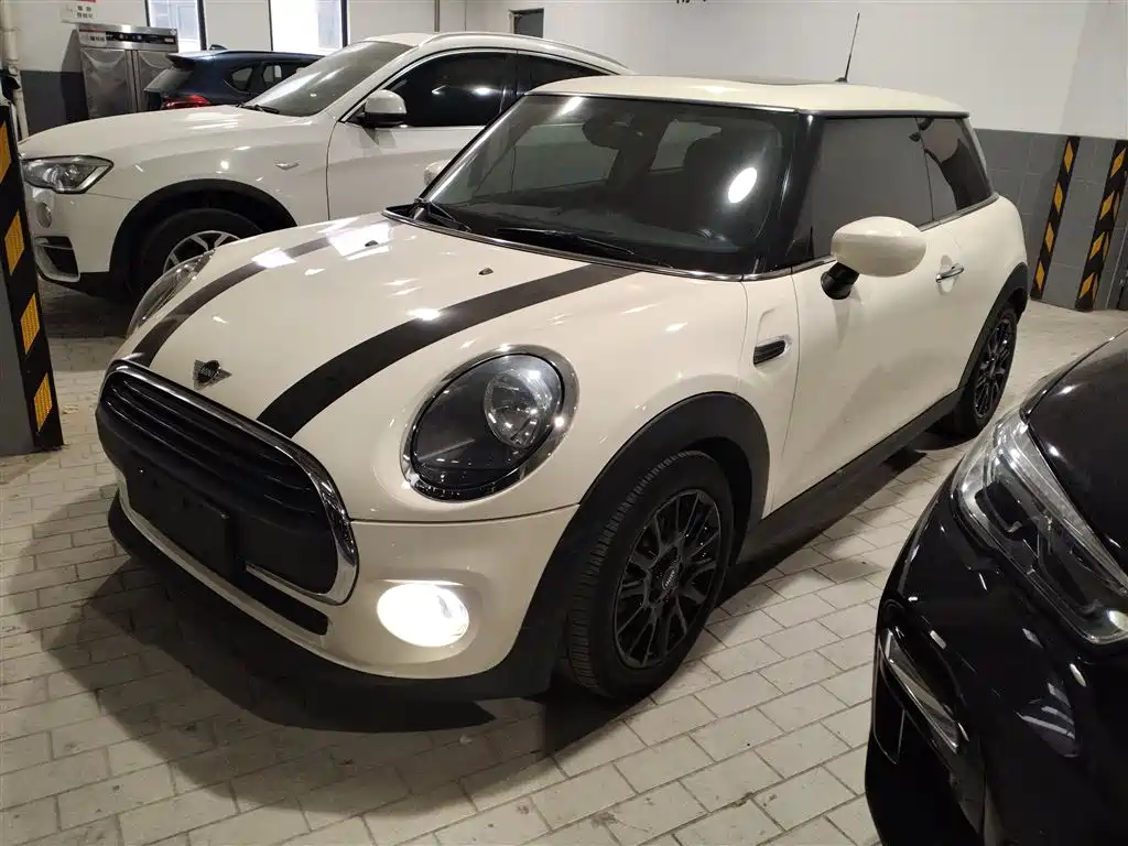 Mini Mini 2020
