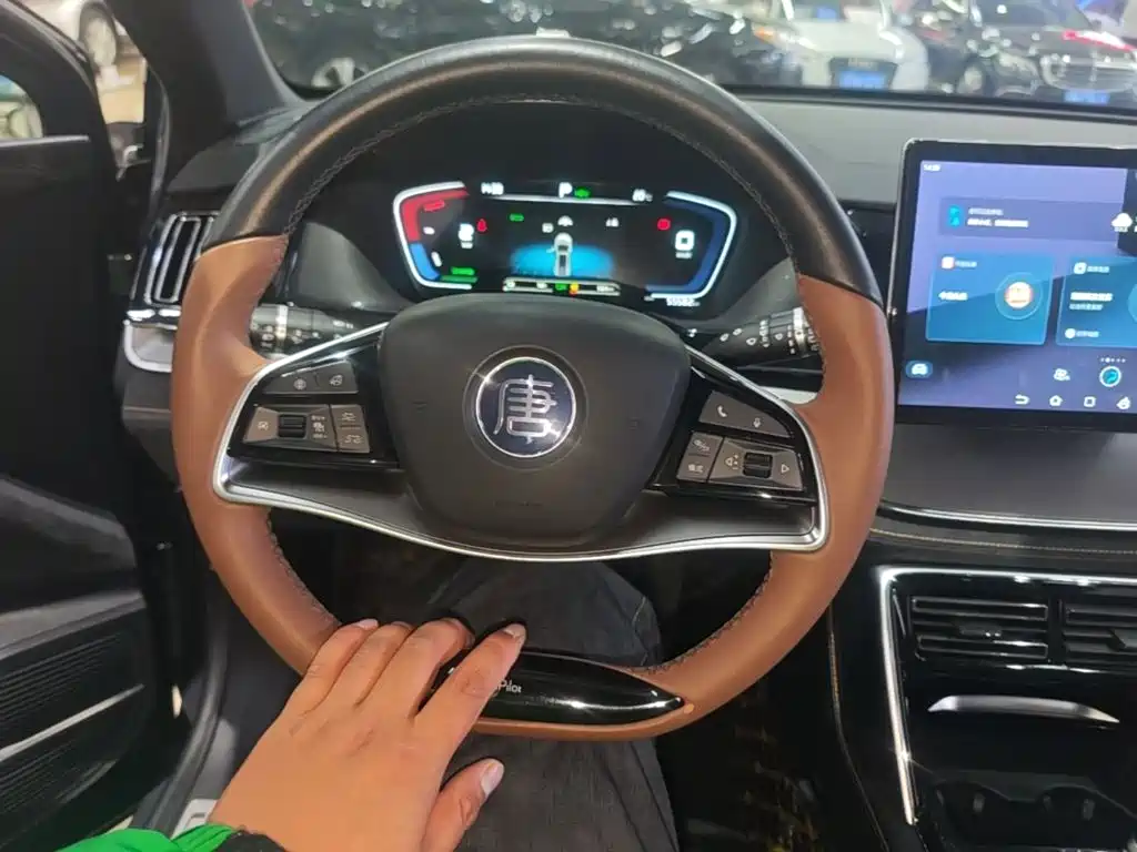 BYD Tang New Energy — миниатюра 11