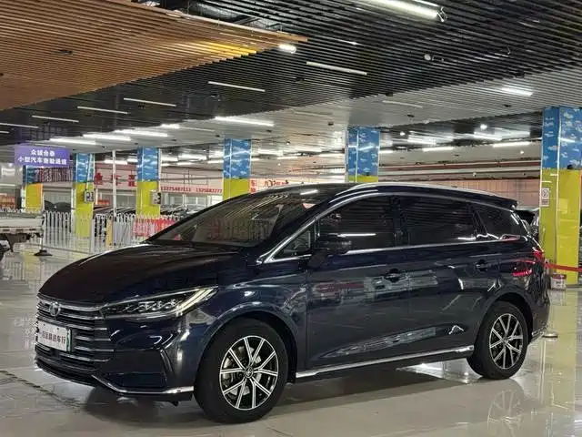 BYD MAX New Energy
