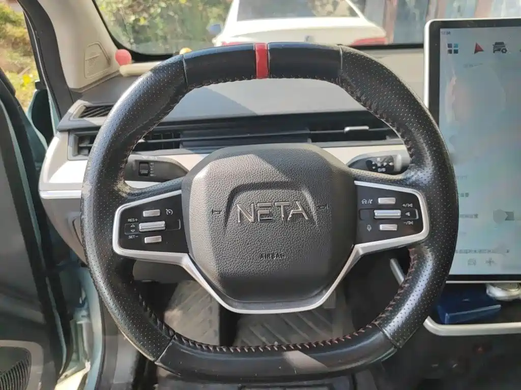Neta Neta V — миниатюра 6