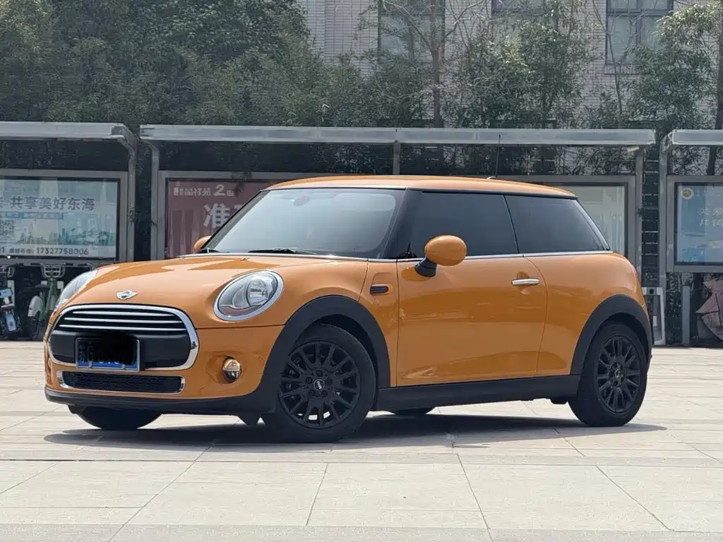 Mini Mini 2018