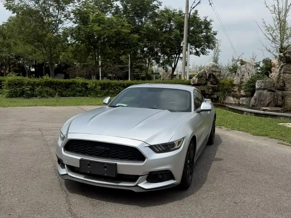 Ford Mustang — миниатюра 6