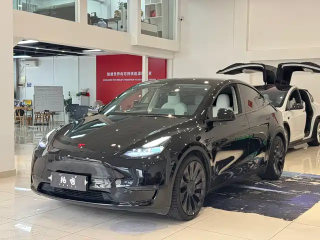 TESLA MODEL Y 2021