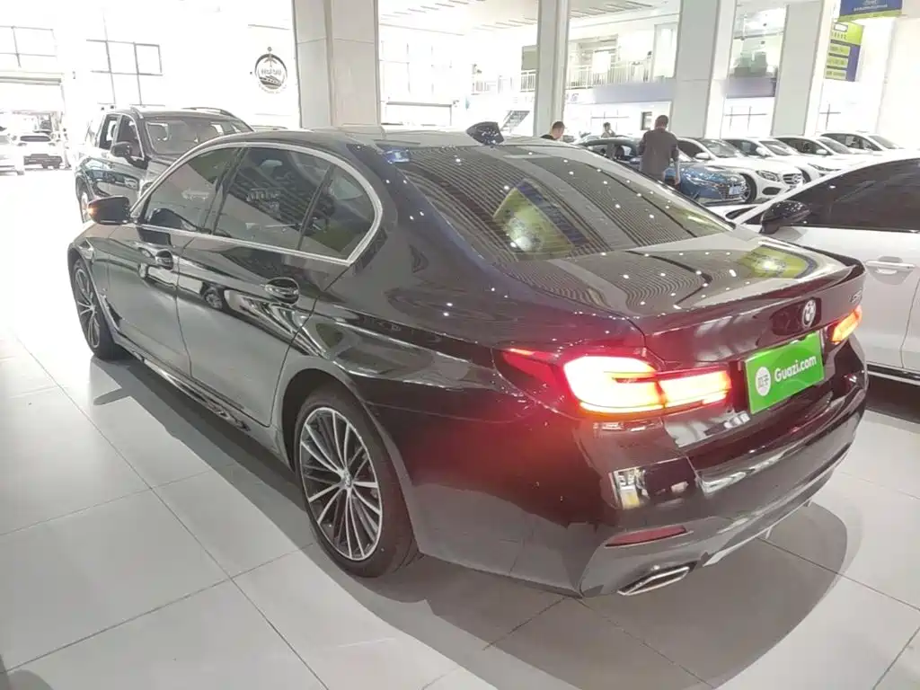 BMW 5 Series — миниатюра 5