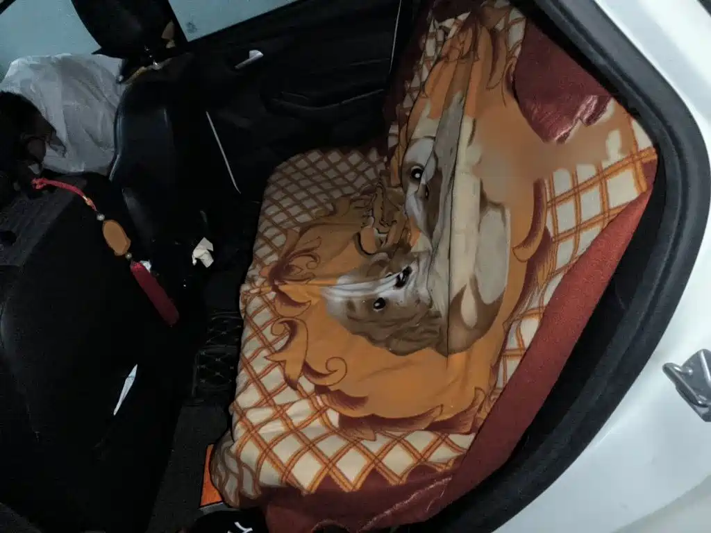 Ford Focus — миниатюра 15
