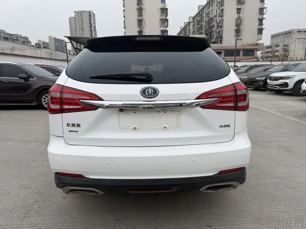 BYD TANGXIN ENERGY