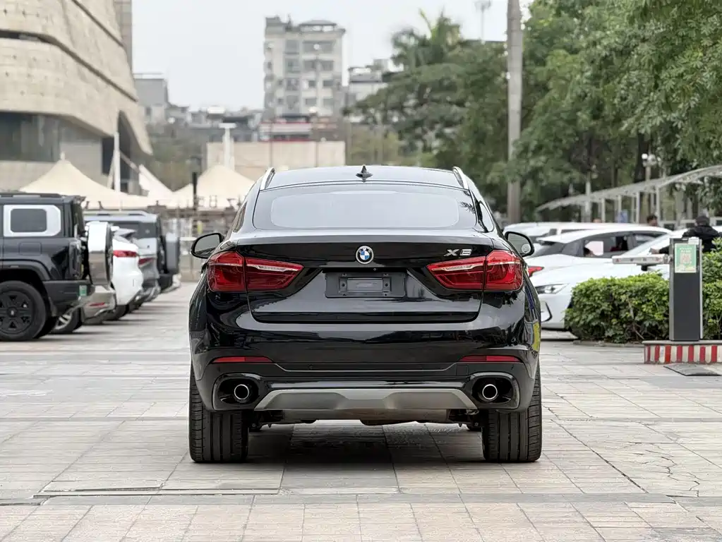 BMW X6