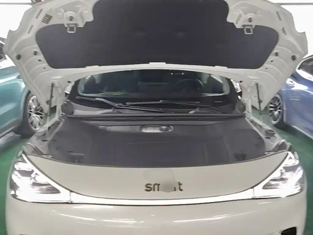 smart Smart #1 — миниатюра 20