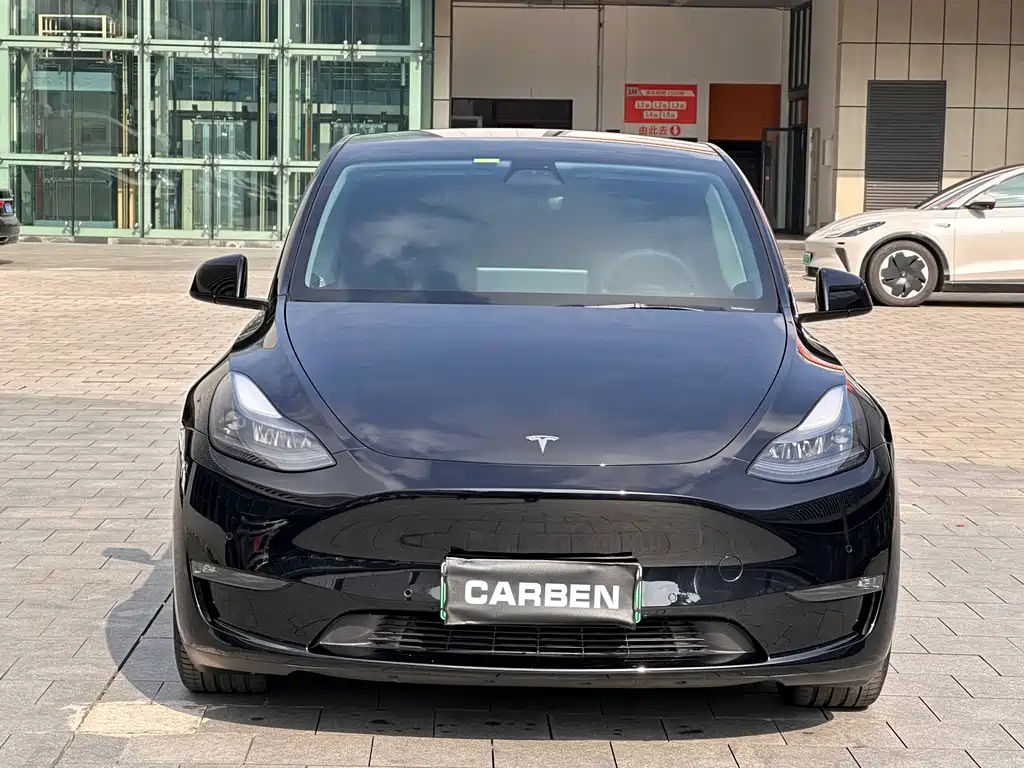Tesla Model Y — миниатюра 2
