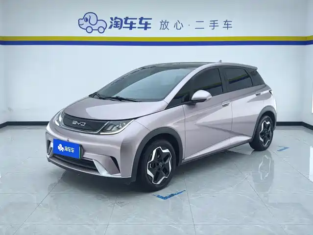 2023 BYD Dolphin