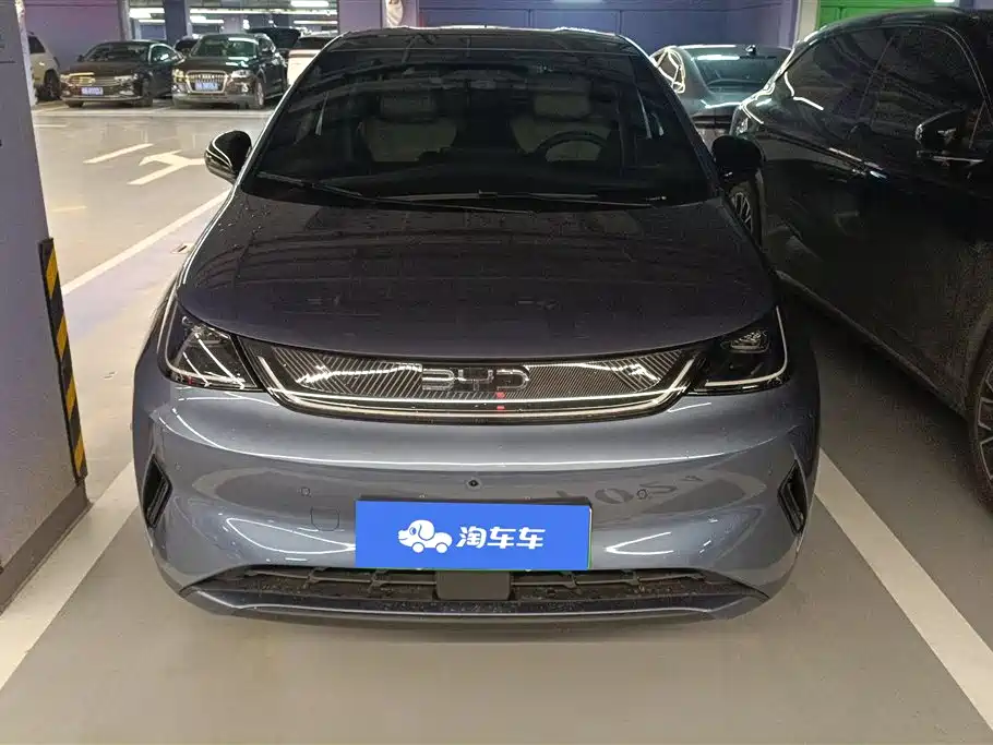 BYD DOLPHIN