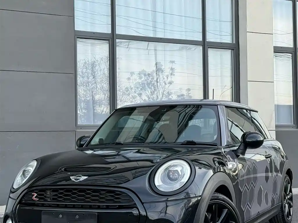 Mini Mini 2017