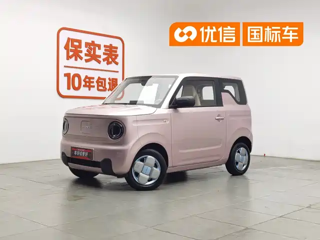 2024 Geely LC (Panda)