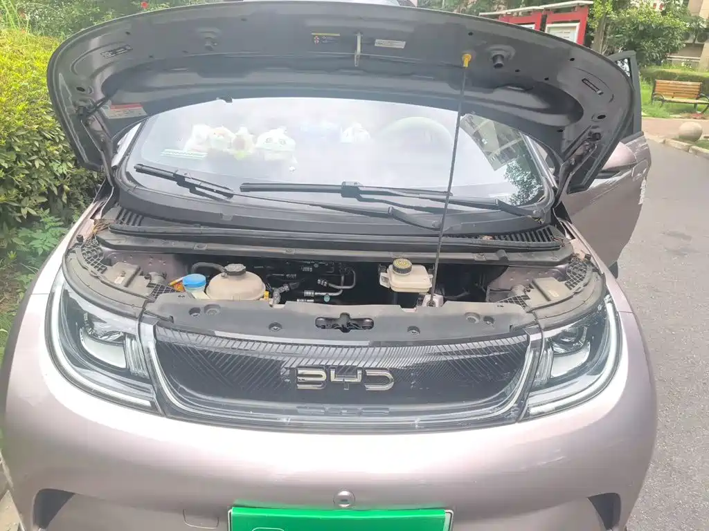 BYD Dolphin — миниатюра 16
