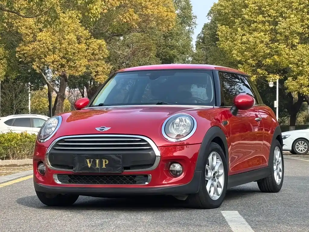 Mini Mini 2015