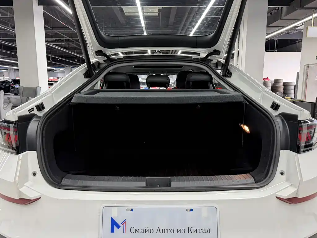 Volkswagen Lamando — миниатюра 10
