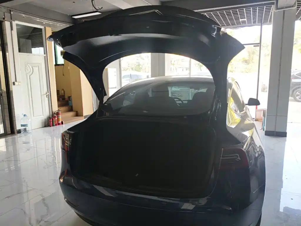 Tesla Model 3 — миниатюра 19
