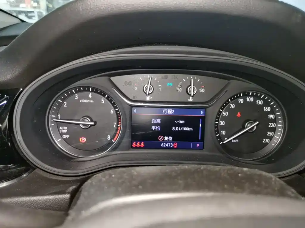 Buick Regal — миниатюра 12