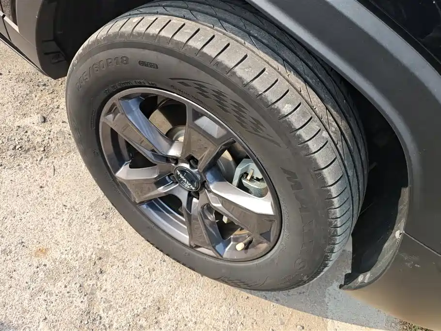 HAVAL RAPTORS NEW ENERGY