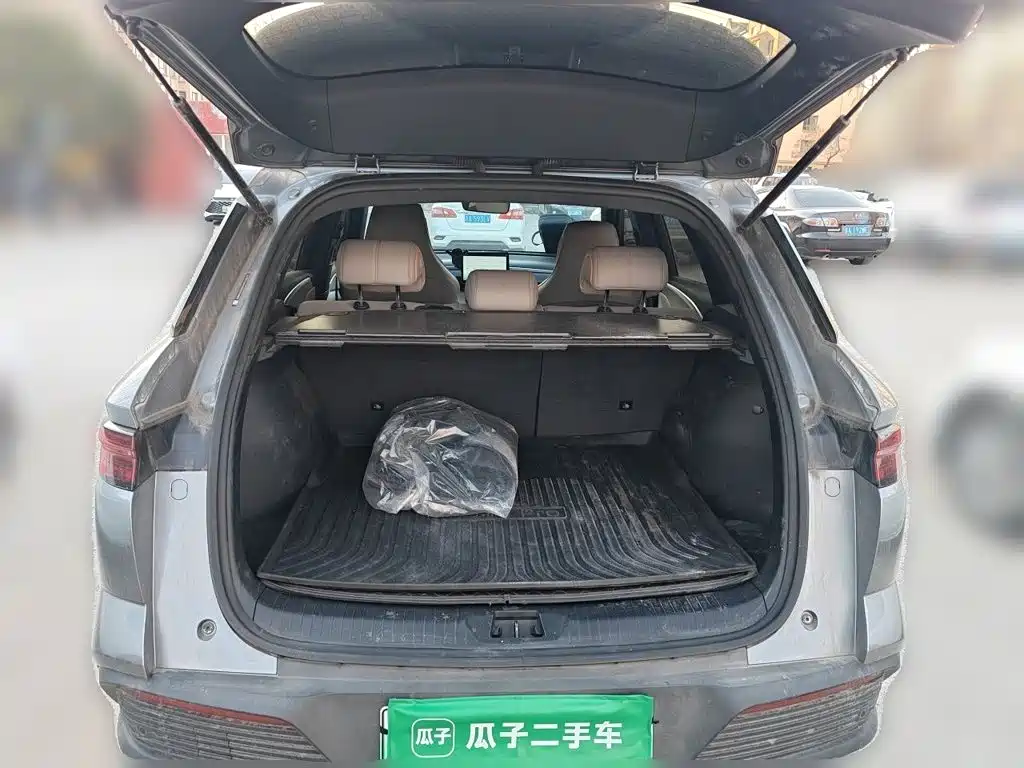 BYD Pro New Energy — миниатюра 15