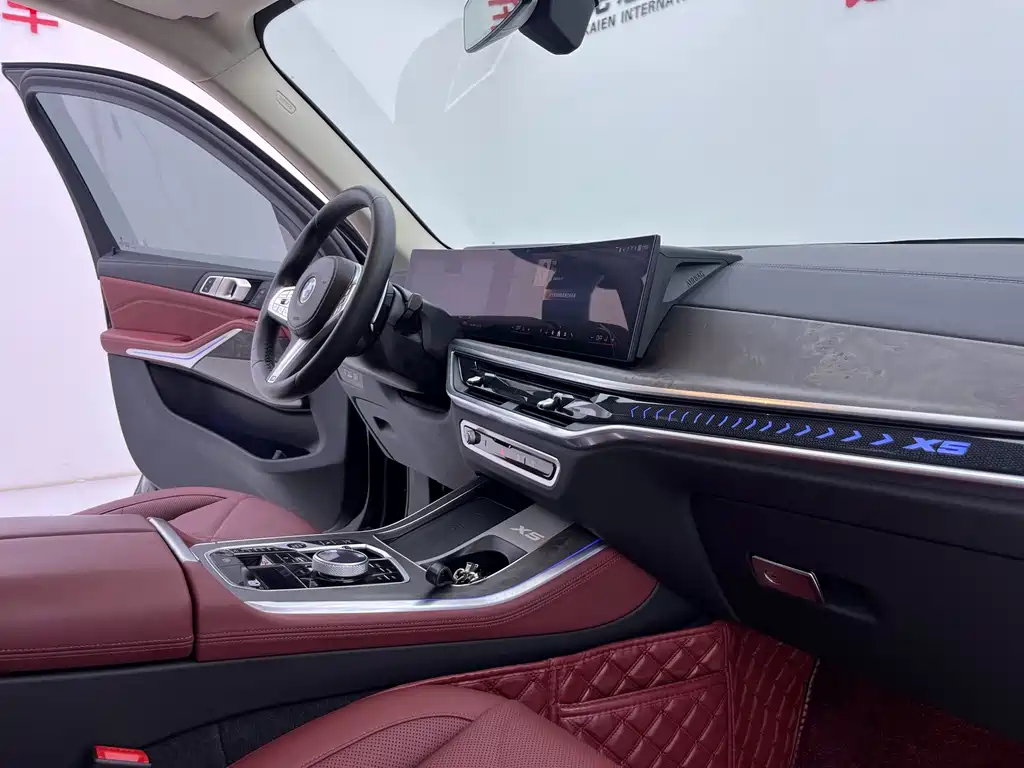 BMW X5 — миниатюра 8