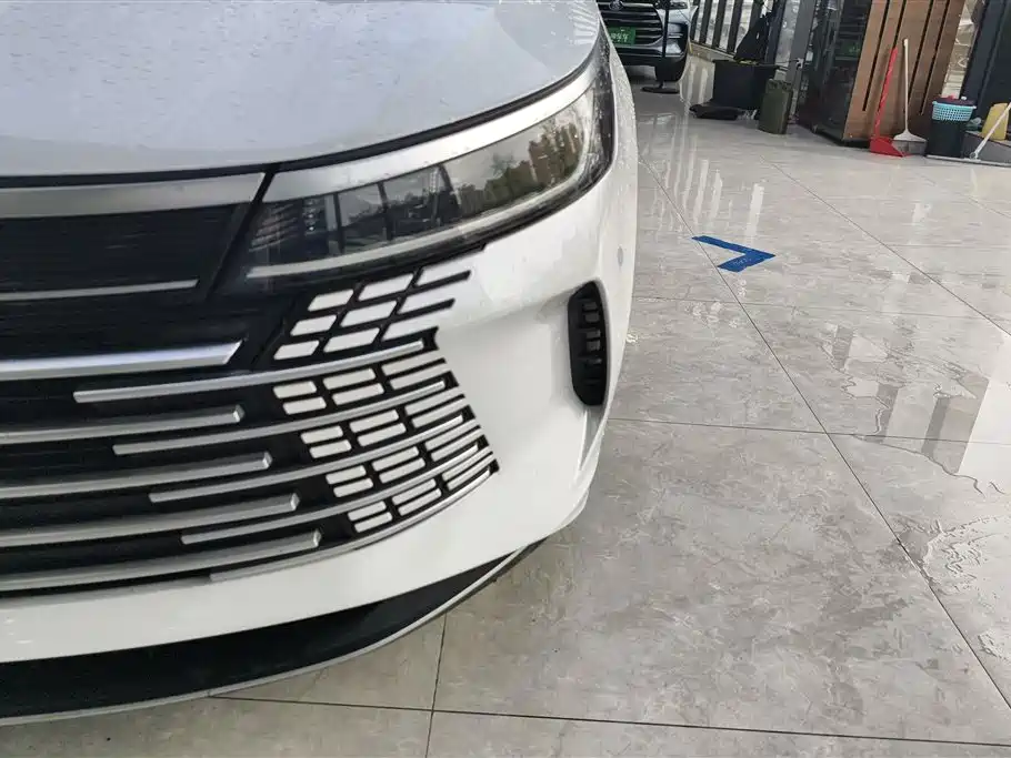 BYD Destroyer 05 2023 Champion DM-i 55KM Luxury
