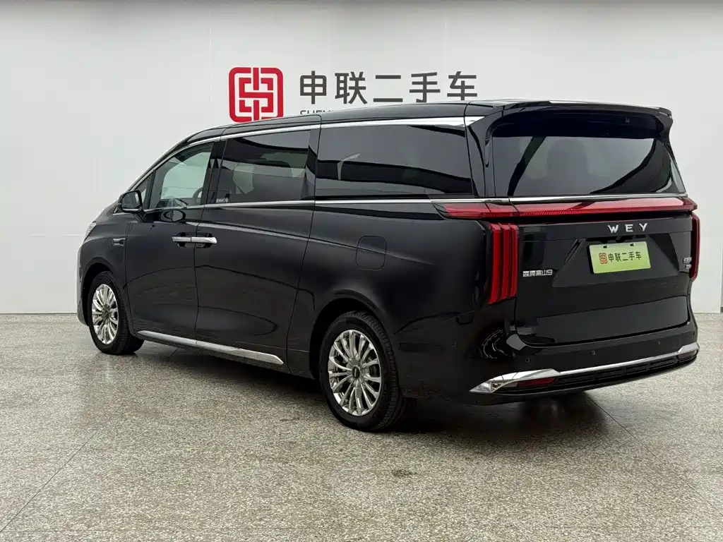 Wey 魏牌 高山新能源 — миниатюра 4