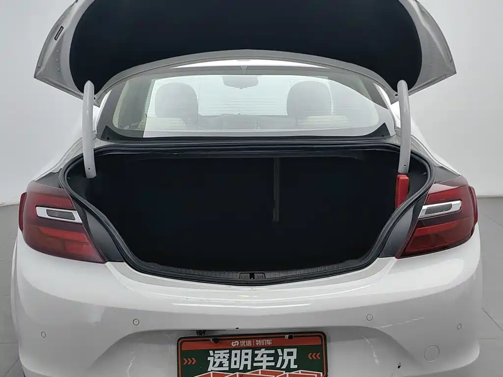 Buick Regal — миниатюра 16