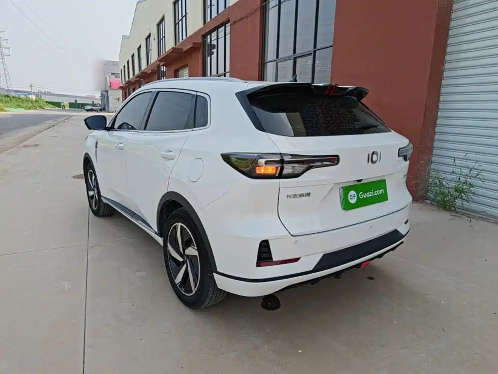 Qiyuan Чанг Ан Кай Q05 классика. — миниатюра 23
