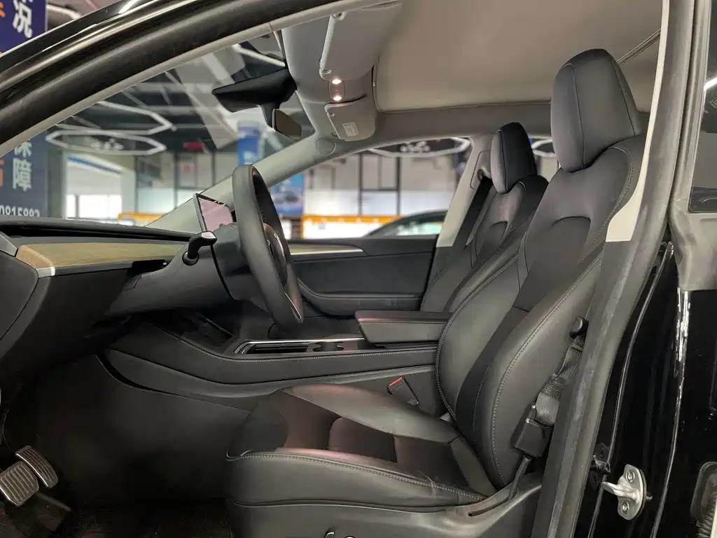 Tesla Model Y — миниатюра 9
