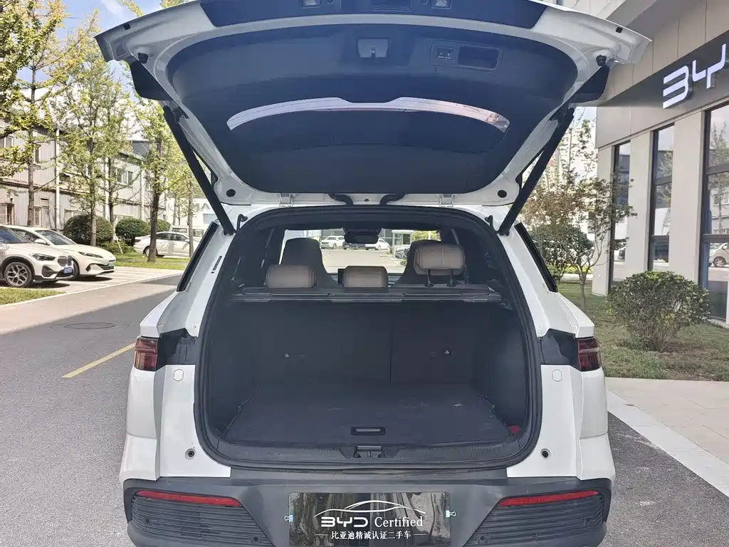 BYD Pro New Energy — миниатюра 10
