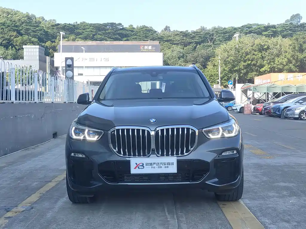 BMW X5 (Import) — миниатюра 2