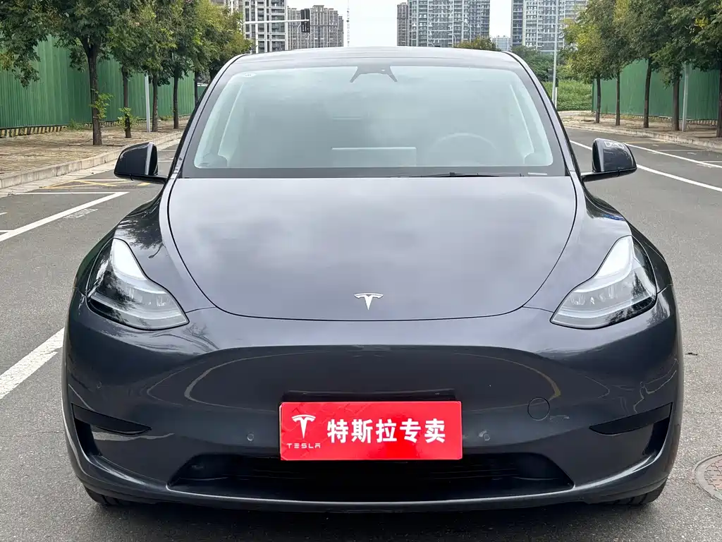 Tesla Model Y — миниатюра 2