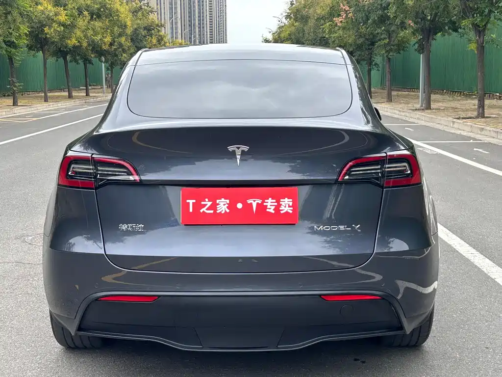 Tesla Model Y — миниатюра 10