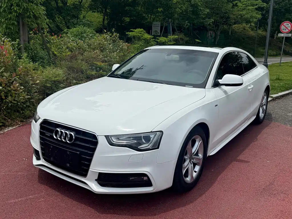 Audi A5 (Import) 2013