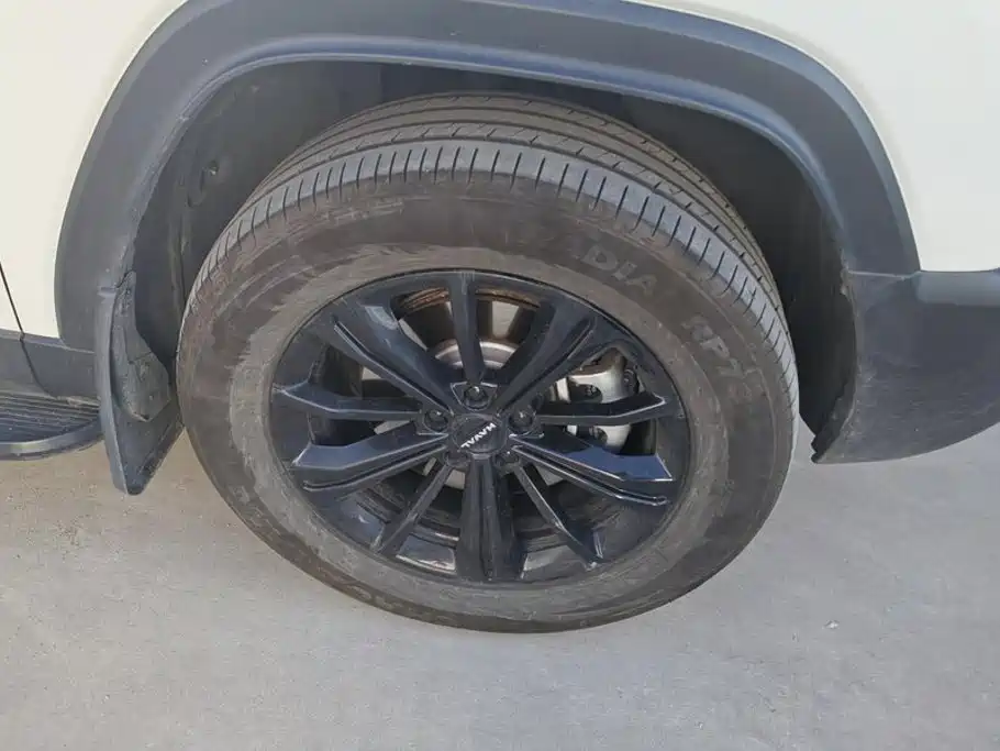 Haval Menglong New Energy — миниатюра 6