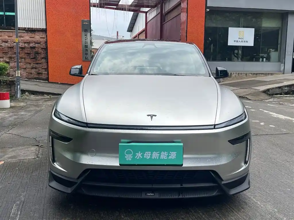Tesla Model Y — миниатюра 2