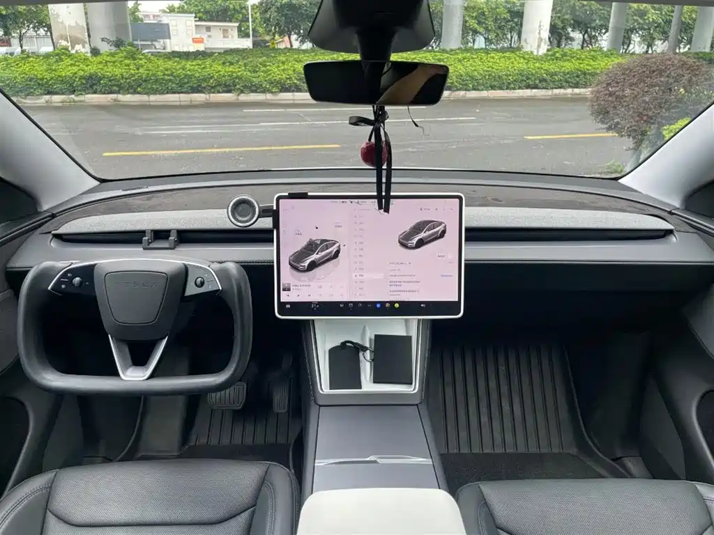 Tesla Model Y — миниатюра 3