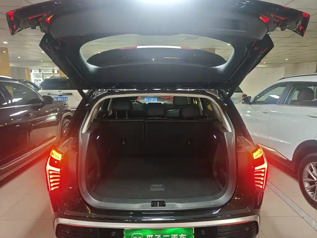 Hongqi Hongqi HS3 PHEV — миниатюра 19