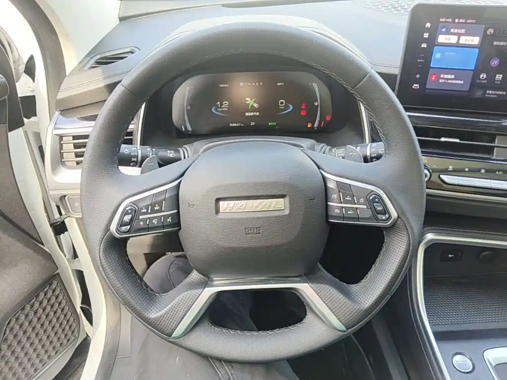 Haval H6 — миниатюра 11