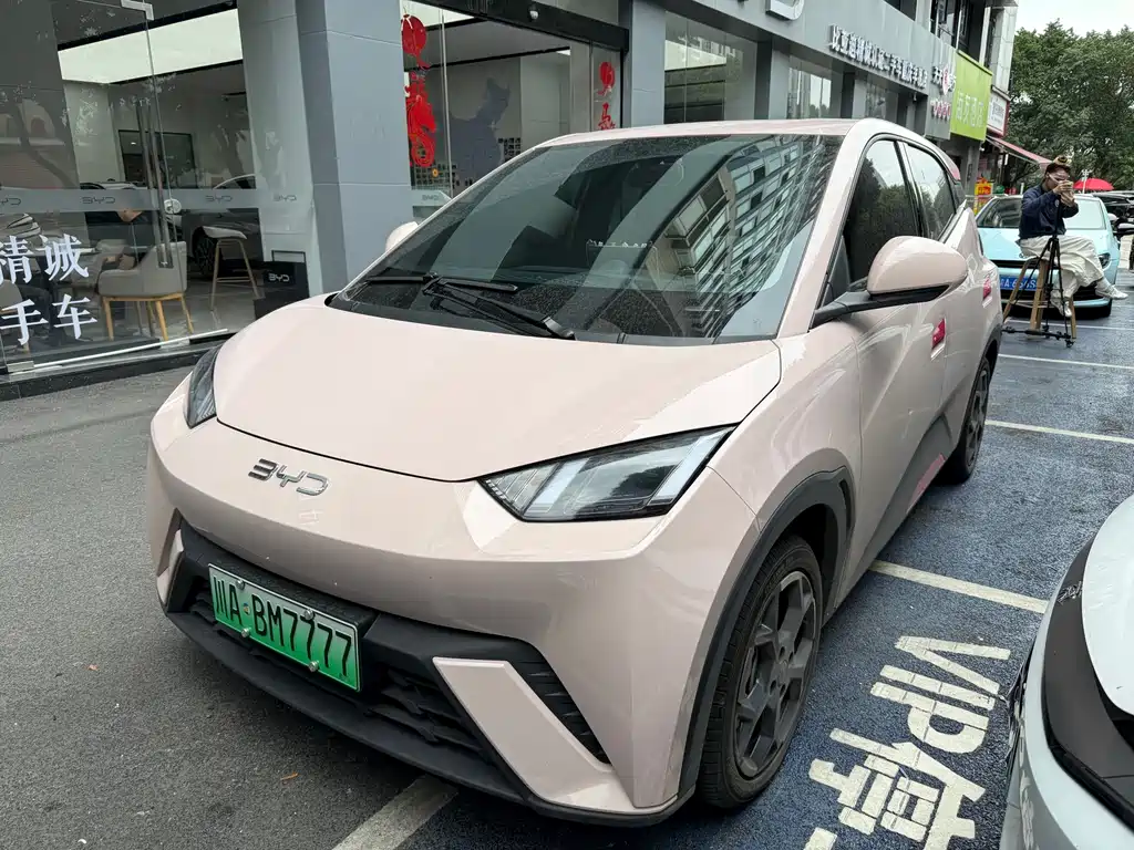 BYD Seagull
